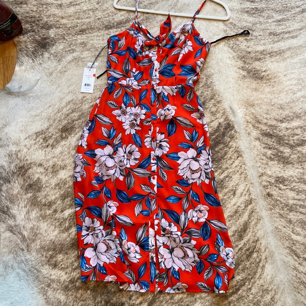 Ali and Jay tropical sundress